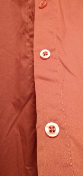 Bold & Gold Detailed, Burnt Orange Button Down Top - Picture 7 of 15